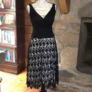 Tadashi Collection silk and lace dress